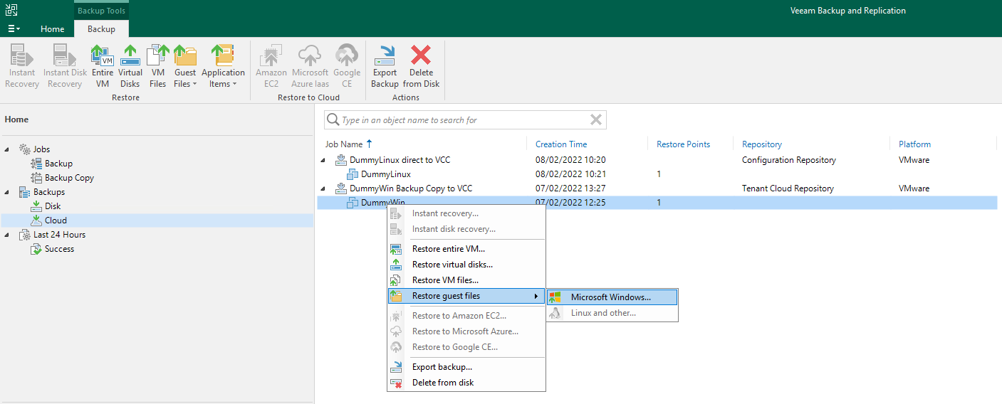 Restore Windows guest files from a Cloud Repository